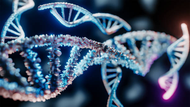 NAD+: Understanding Cellular Energy and Longevity Research