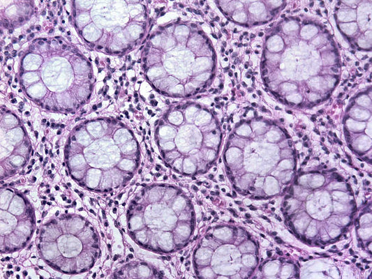 New Studies & Research Updates: How to Follow Peptide Science